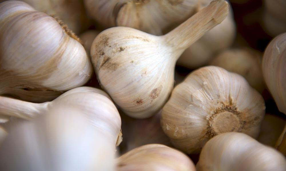 5 white foods you should be eating now