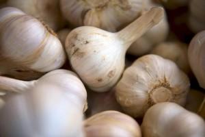 Central coast health clubs - Garlic Harvest