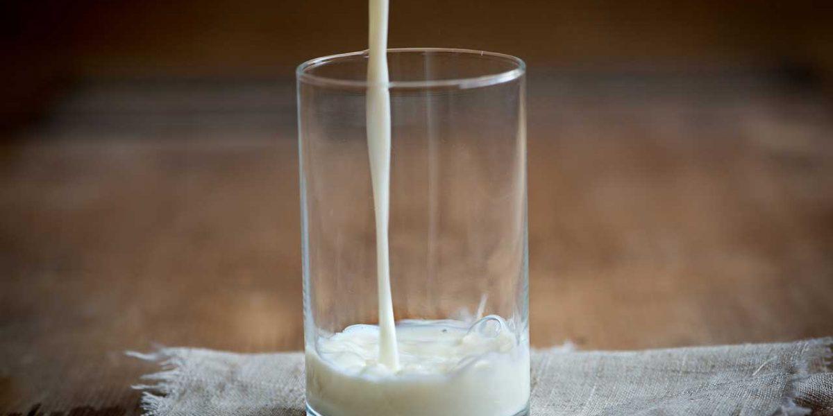 Which milk alternative is the most nutritious?