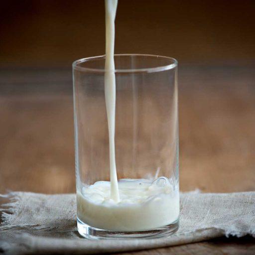 Which milk alternative is the most nutritious?